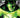 Green Lanterns Rebirth Vol 05 Out of Time TP - State of Comics