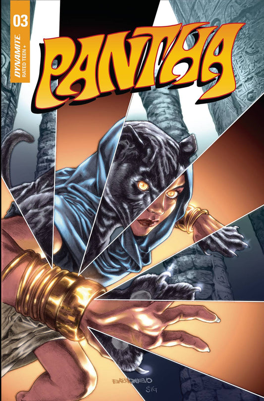 Pantha #3 Cvr E Barrionuevo (03/02/2022) - State of Comics