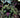 Hulk #12 - State of Comics