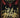 Macbeth A Tale Of Horror Tp - Stateofcomics.com
